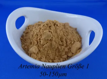 Artemia Nauplien Gr.1 sehr kleine getrocknete Artemia Nauplien in einer Schale